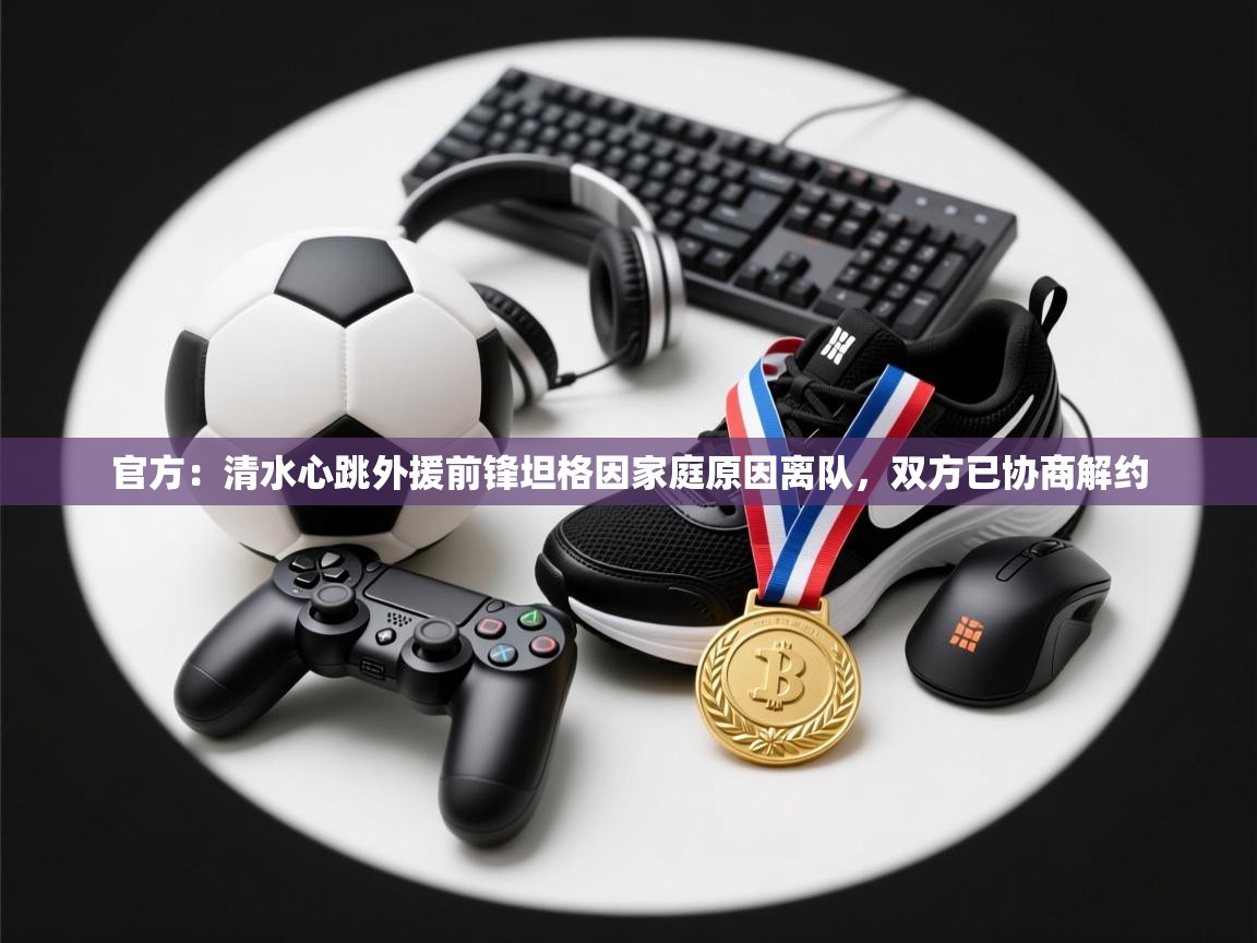 官方:清水心跳外援前锋坦格因家庭原因离队,双方已协商解约 第1张