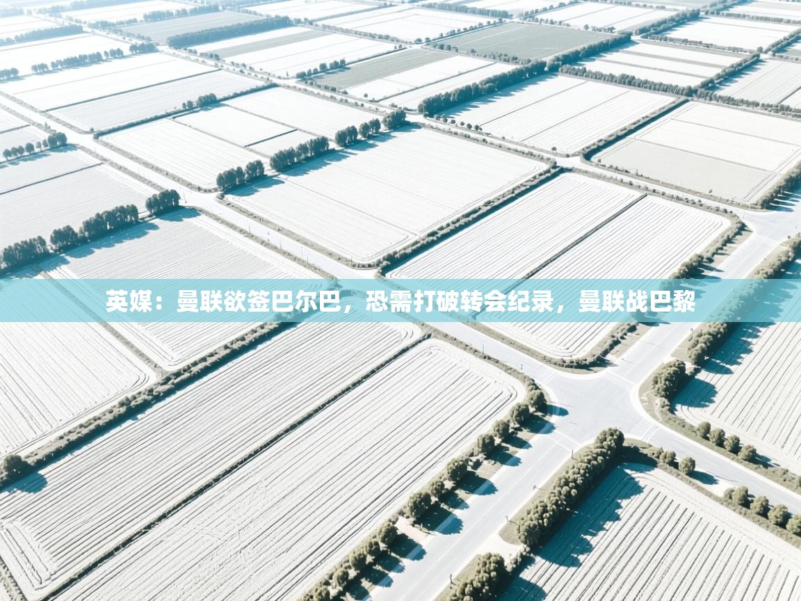 英媒:曼联欲签巴尔巴,恐需打破转会纪录,曼联战巴黎 第1张