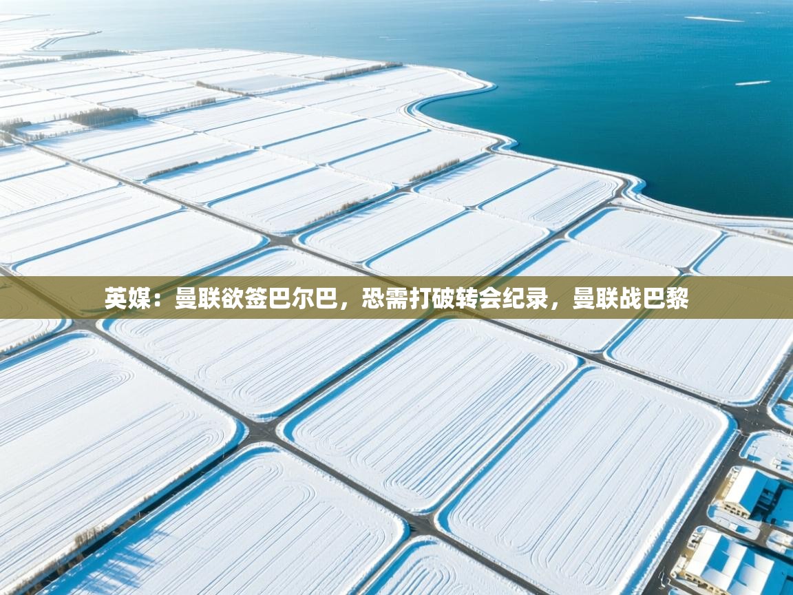 英媒:曼联欲签巴尔巴,恐需打破转会纪录,曼联战巴黎 第2张