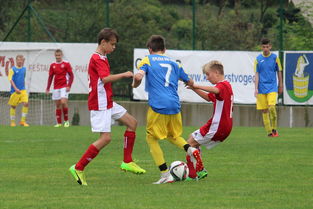 韦德体育官方网站-欧洲杯资格赛抽签结果揭晓，强队同组